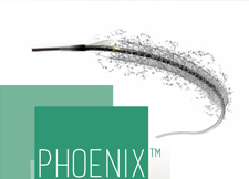 phoenix.jpg
